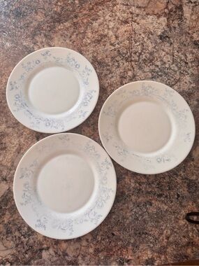 Vintage Arcopal Glenwood Plate-set of 3